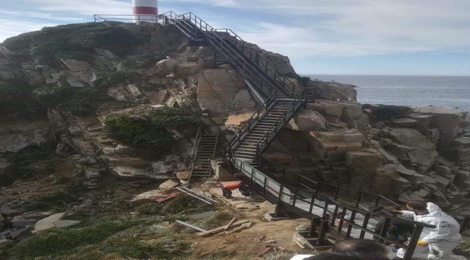 Pasarela Elevada